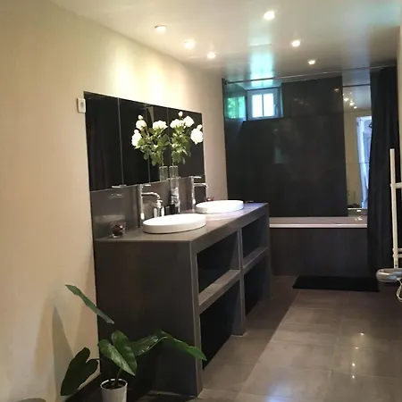 ホテル Domaine Du Moulin De Champie - Plaine De Versailles 3*